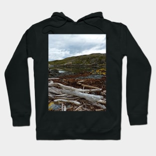 Dead trees lying at the sea Hoodie